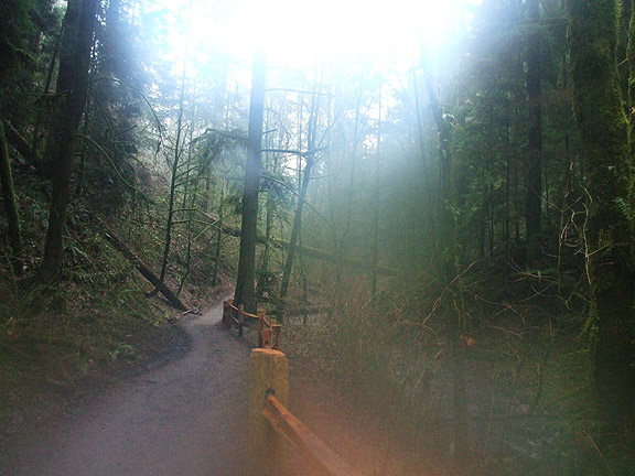 WinterWoods26