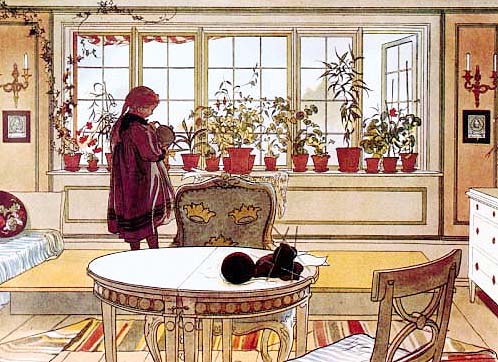 FlowerWindow