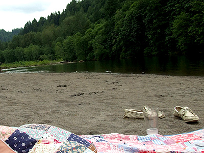 Picnic19