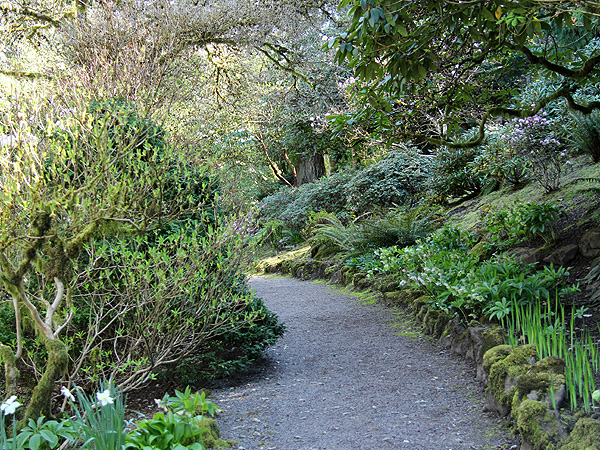 30Garden15