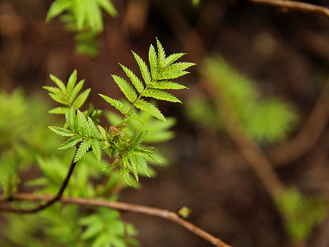 28Garden12