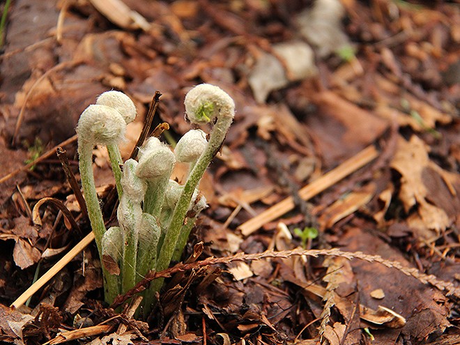 28Garden12