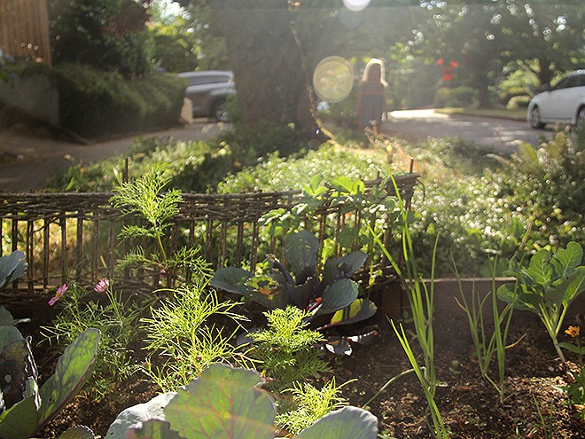 17Garden5 17Garden5
