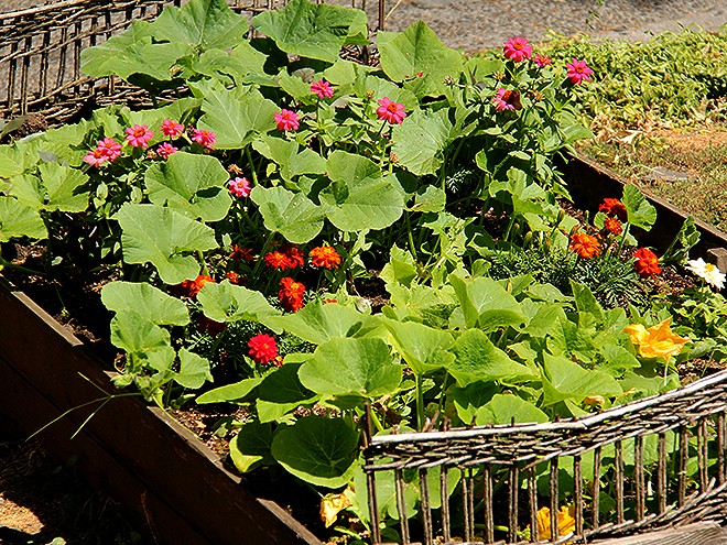 17Garden5 17Garden5