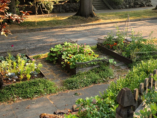 6Garden2