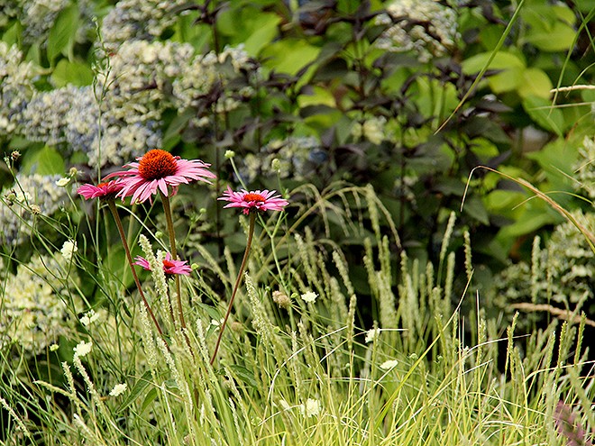 6Garden2