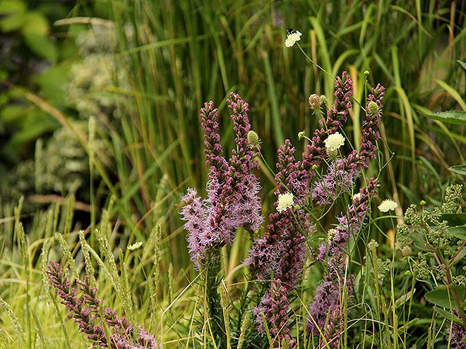 6Garden2