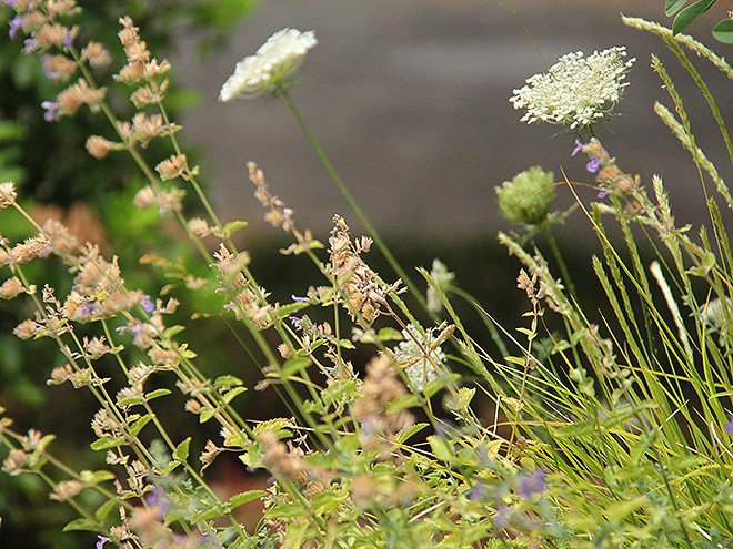 6Garden2