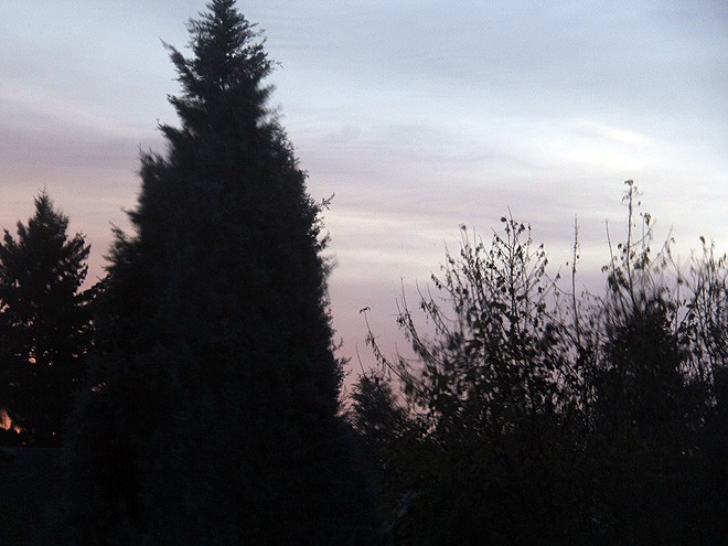 20Morning1