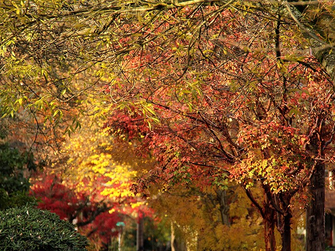 20Walk4