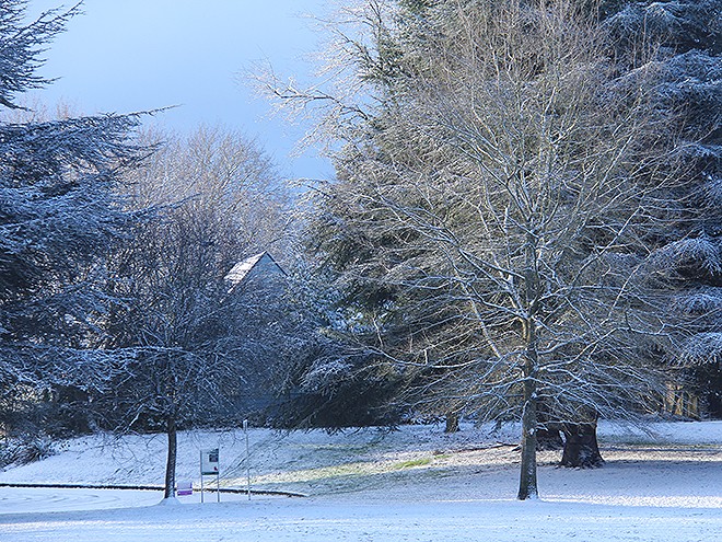 5Snow14