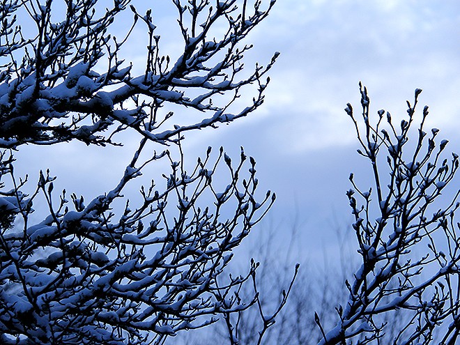 5Snow5