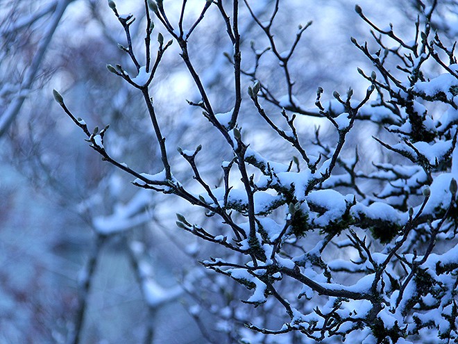 5Snow5