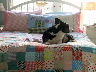 Quilt4