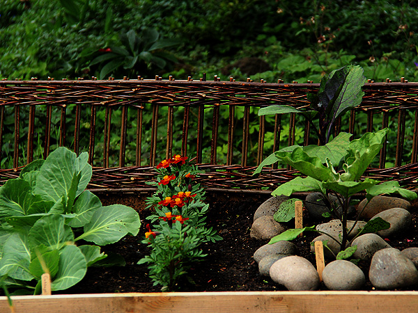 Garden6 Garden6