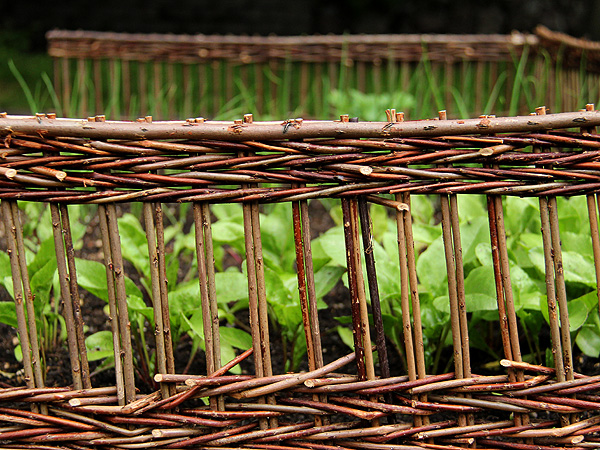 Garden5 Garden5