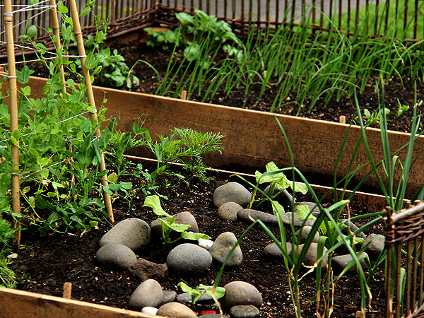Garden12 Garden12