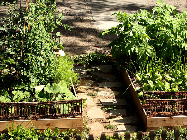 Garden1 Garden1