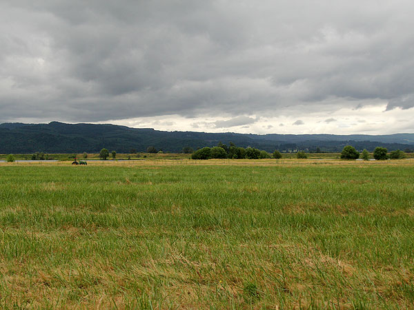Walk31