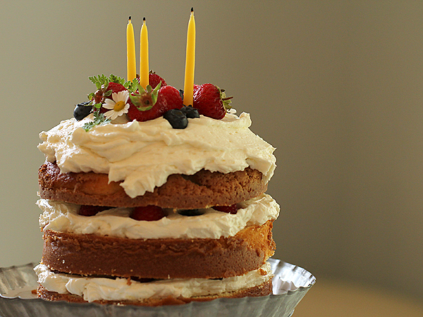 Cake2 Cake2