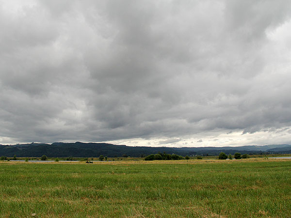 Walk12