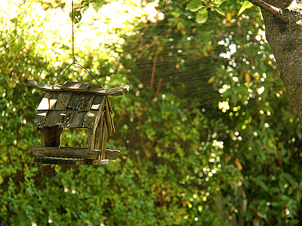 Birdhouse3 Birdhouse3