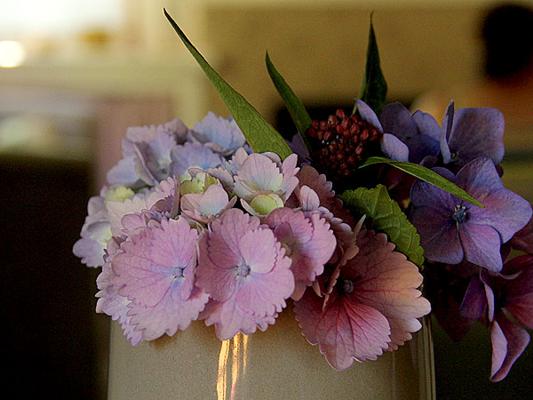 Hydrangeas1 Hydrangeas1