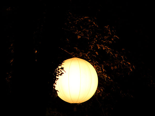 Lantern1 Lantern1