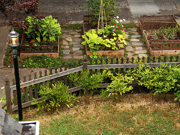 Garden1 Garden1