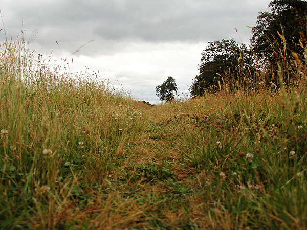 Walk32