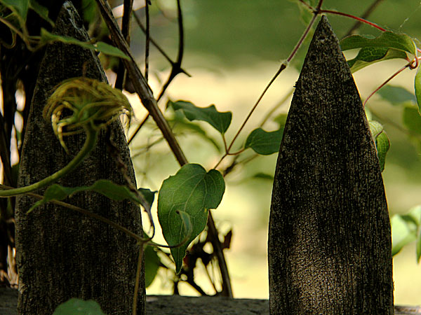 Fence2 Fence2