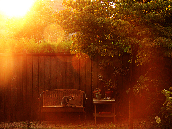 Morning1 Morning1
