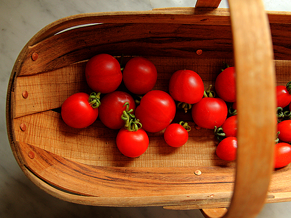 Tomatoes1 Tomatoes1