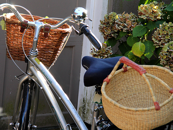 Bikey1 Bikey1