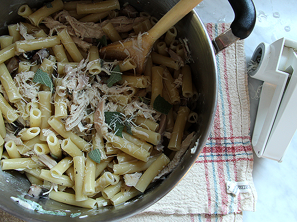 Pasta1 Pasta1
