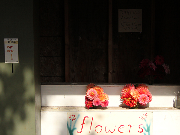Flowers3 Flowers3