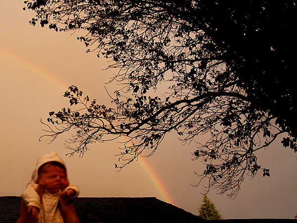 FirstRainbow1 FirstRainbow1