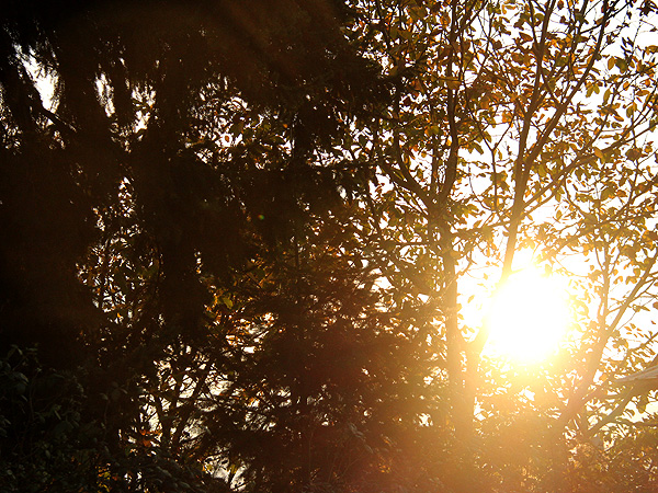 Sunset2 Sunset2