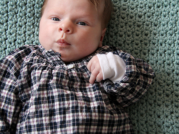 14LittlePlaid3 14LittlePlaid3