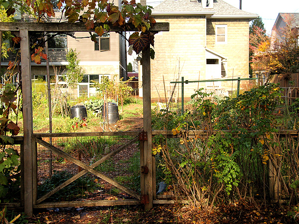 Fence3 Fence3