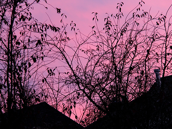 24Sunset1 24Sunset1