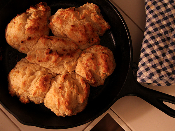 10Biscuits1 10Biscuits1