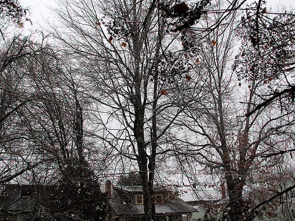 18Snow2 18Snow2