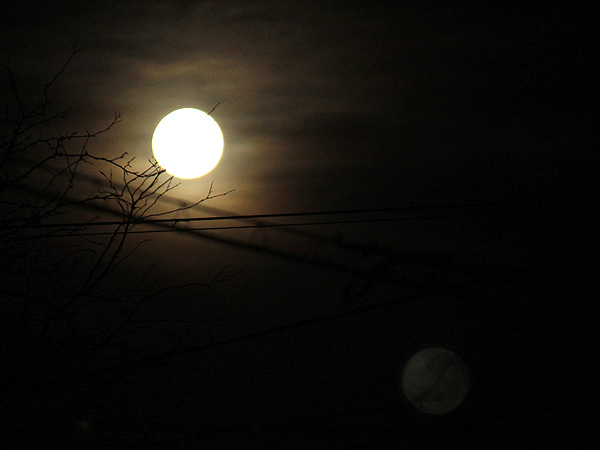 28Moon1 28Moon1