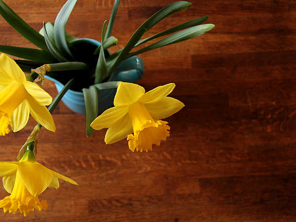 25Daffs1 25Daffs1