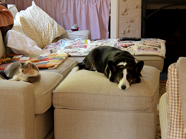 Sofa1 Sofa1