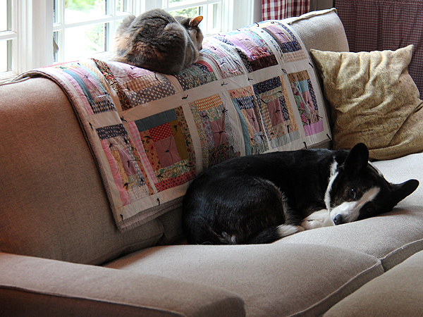 Sofa2 Sofa2
