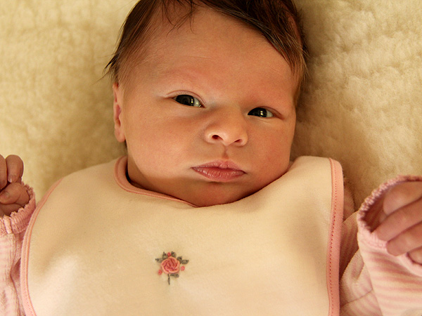 Amelia8 Amelia8