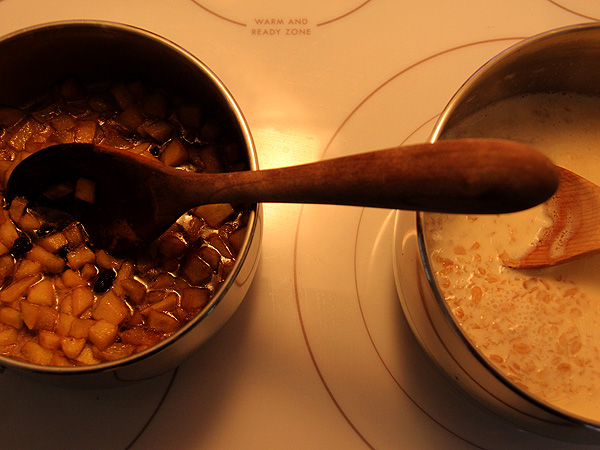 MakingOatmeal MakingOatmeal