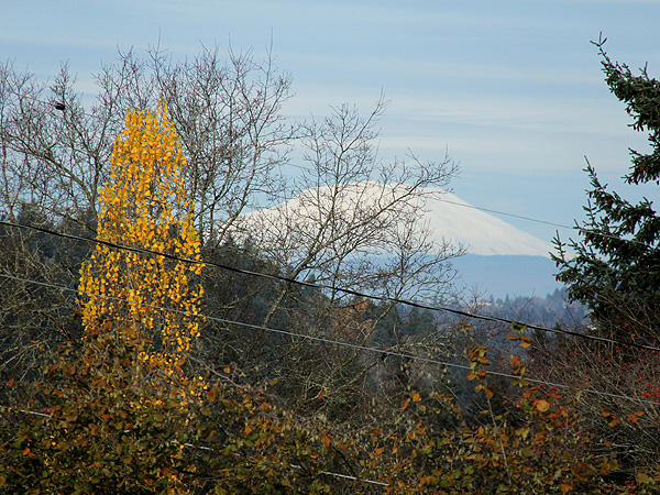 22MtStHelens1 22MtStHelens1